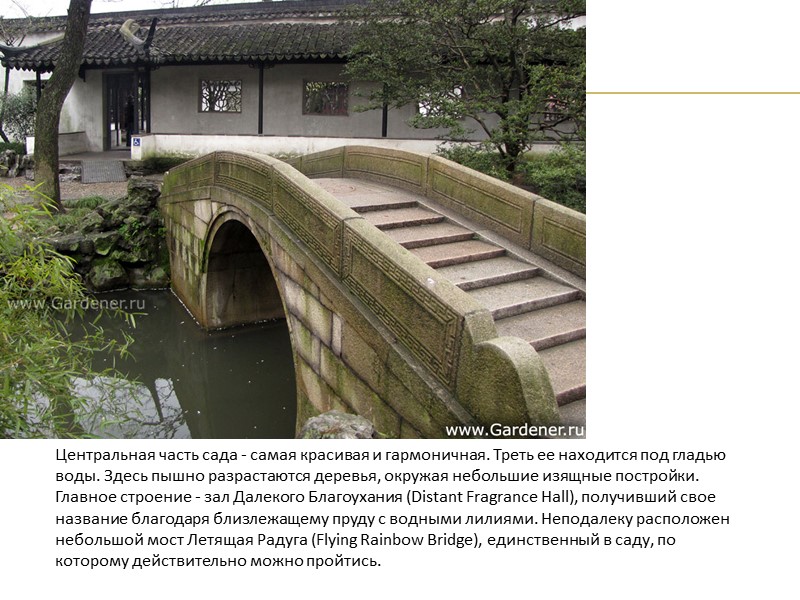 Центральная часть сада - самая красивая и гармоничная. Треть ее находится под гладью воды.